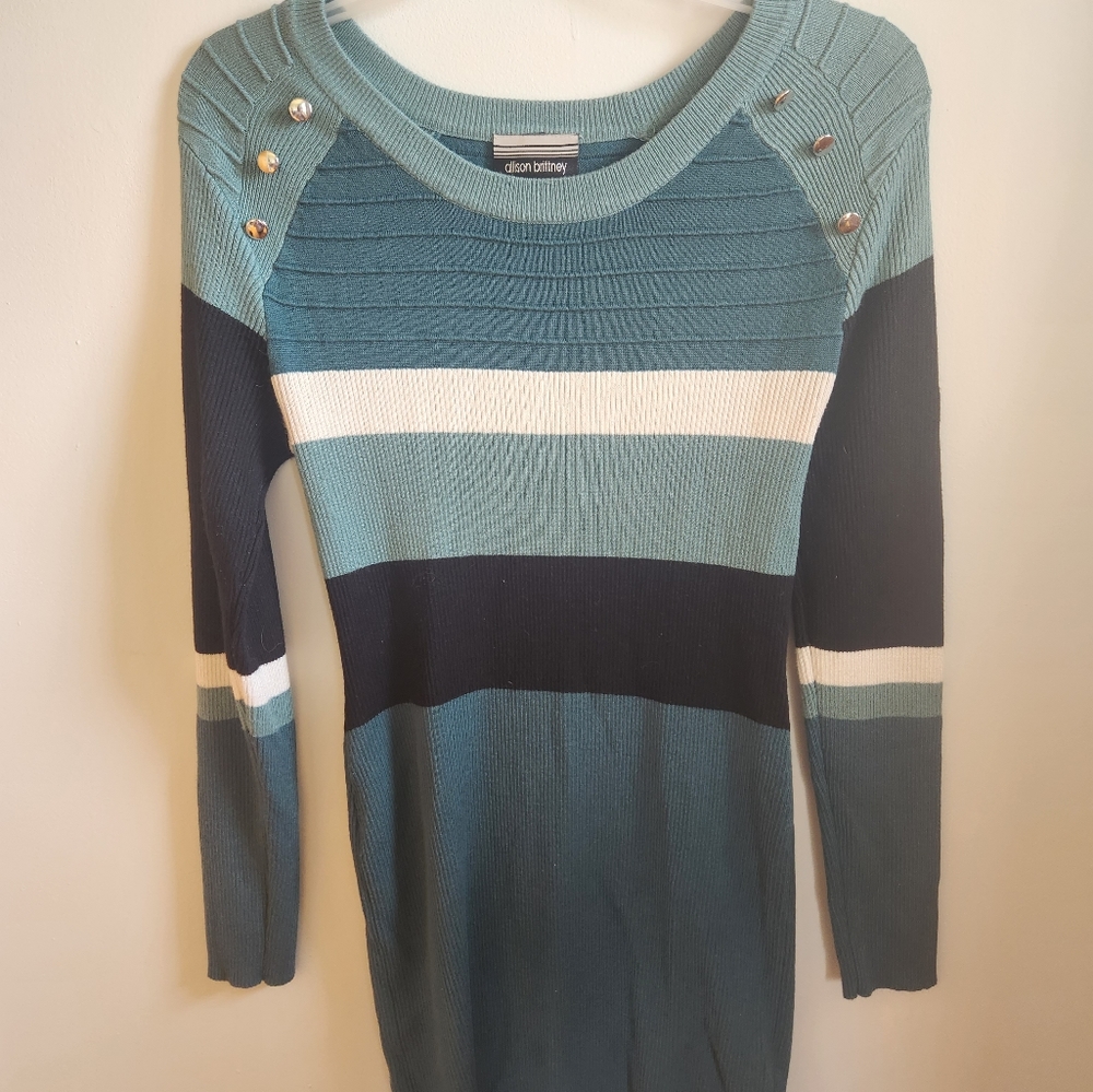 Allison Brittney size m sweater dress